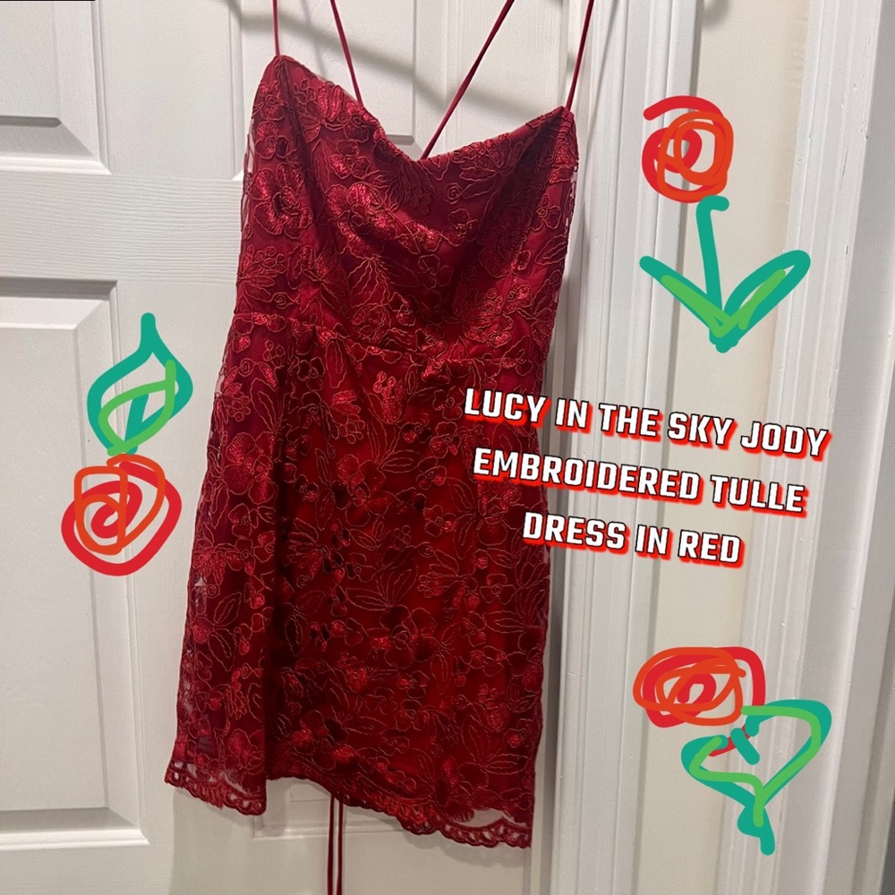 Lucy in the Sky Jody Embroidered Tulle Dress in red